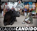 La Giostra del Samsara - uno sguardo zooantropologico su Varanasi